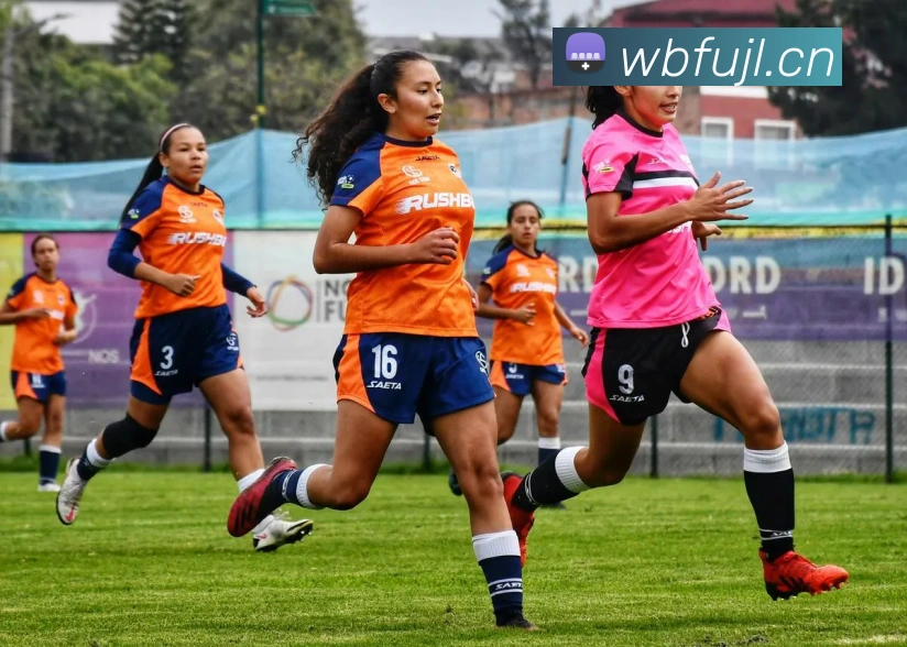 米兰app官方正版官网APP 封面图